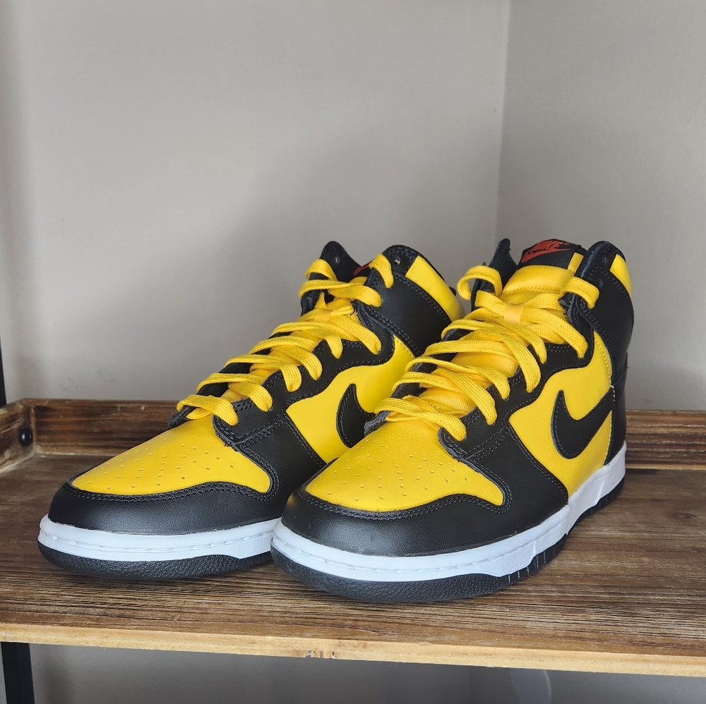 Dunk High Retro (used about 10 times, but great shape)